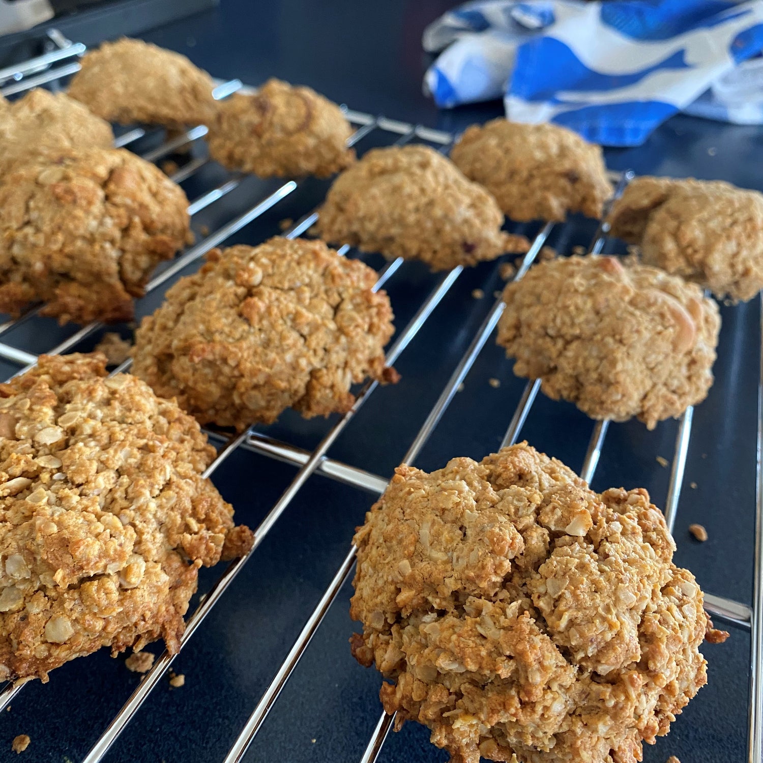 Peanut Butter Chocolate Oatmeal Cookies